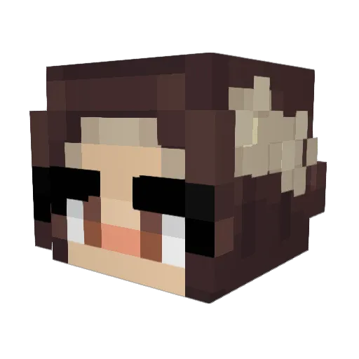 Sapphat Minecraft avatar head, 3D render