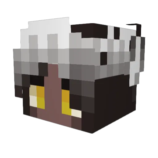 Sapphire542 Minecraft avatar head, 3D render