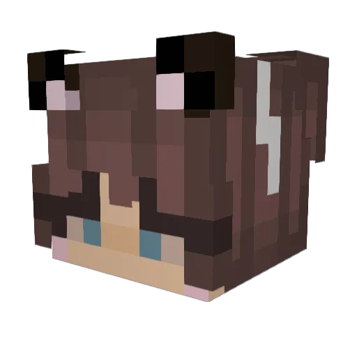 SapphireBirch430 Minecraft avatar head, 3D render
