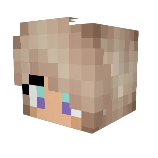 SapphireDolphin5 Minecraft avatar head, 3D render