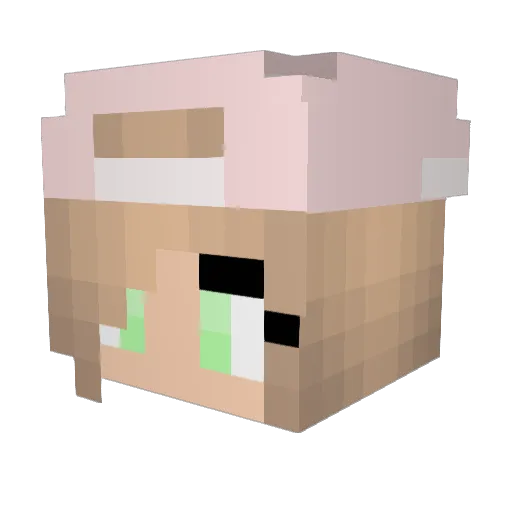 SapphireGamer102 Minecraft avatar head, 3D render