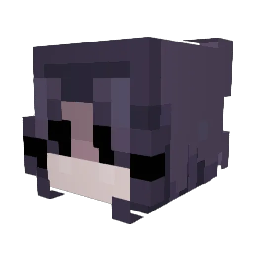 SapphireSniper16 Minecraft avatar head, 3D render