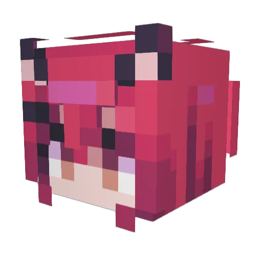 Sappins Minecraft avatar head, 3D render