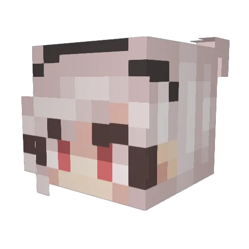 Sappy225_ Minecraft avatar head, 3D render