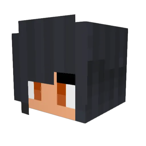 SapraCK Minecraft avatar head, 3D render