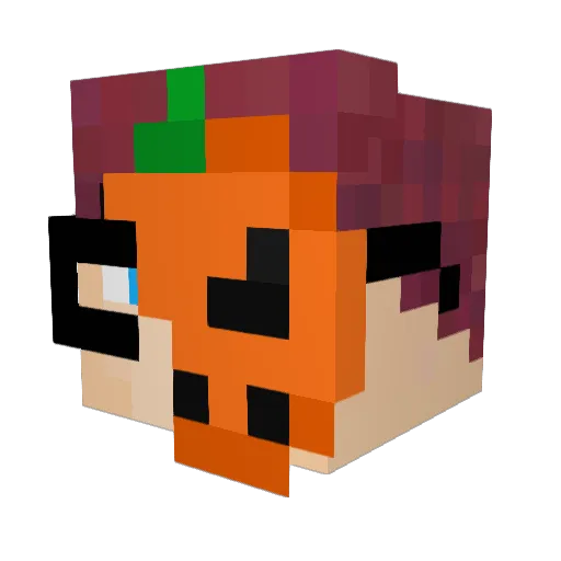 Sapsol Minecraft avatar head, 3D render