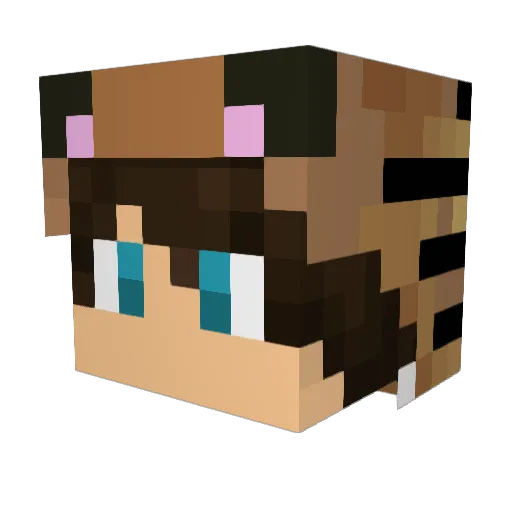 Sapujapu2000 Minecraft avatar head, 3D render