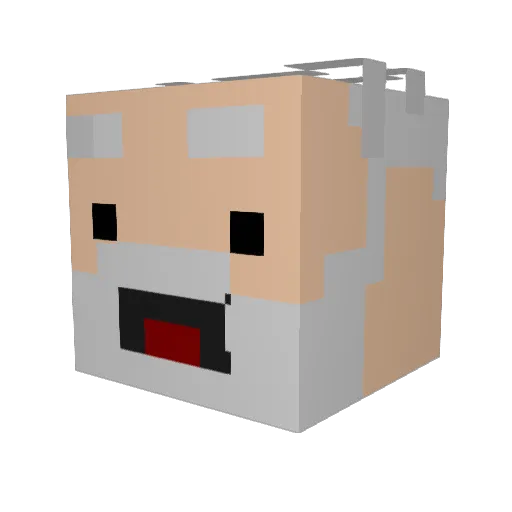 SaqLuZen Minecraft avatar head, 3D render