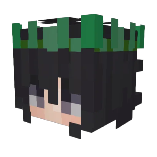 SarBear09 Minecraft avatar head, 3D render