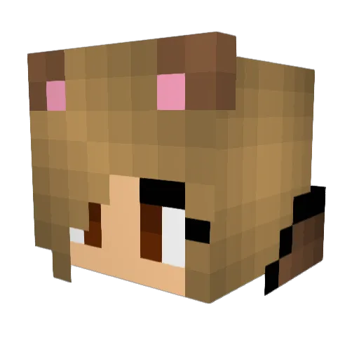 SarBear268 Minecraft avatar head, 3D render