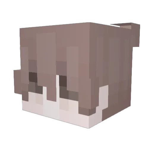 SarFlear Minecraft avatar head, 3D render