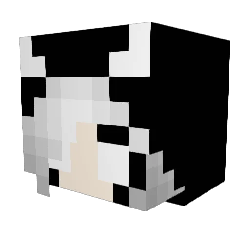 Sara254 Minecraft avatar head, 3D render