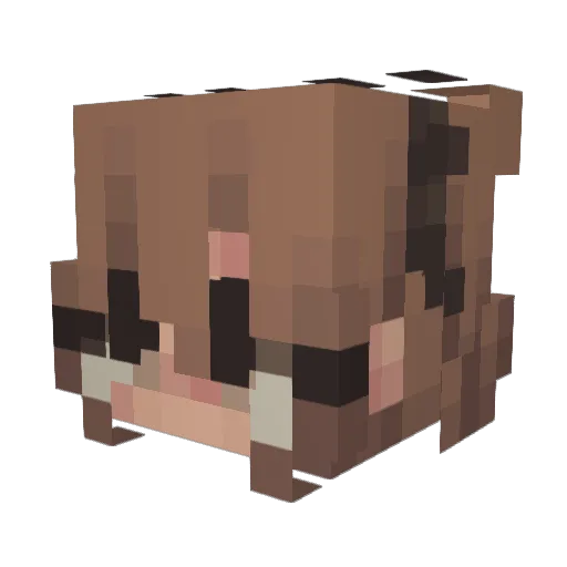 SaraAndMallory Minecraft avatar head, 3D render