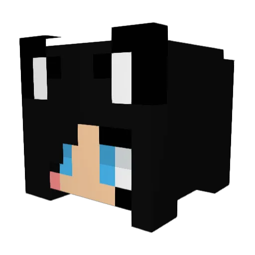 SaraBlack2000 Minecraft avatar head, 3D render