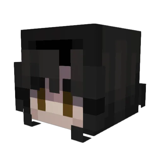 SaraCopito Minecraft avatar head, 3D render
