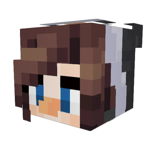 SaraHuebscher Minecraft avatar head, 3D render