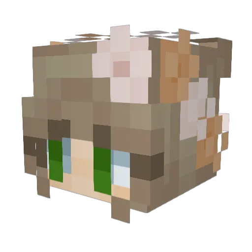 SaraMandra Minecraft avatar head, 3D render
