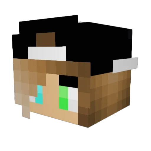 SaraOostrom Minecraft avatar head, 3D render