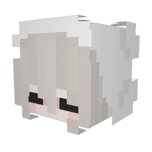 SaraPlays1 Minecraft avatar head, 3D render