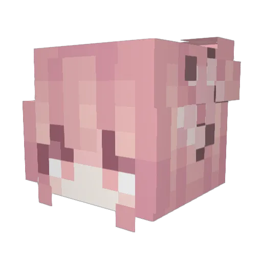 SaraS2 Minecraft avatar head, 3D render