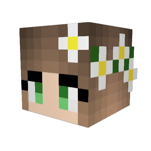SaraTaria Minecraft avatar head, 3D render