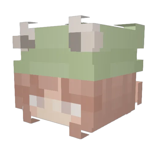 SaraViegas Minecraft avatar head, 3D render