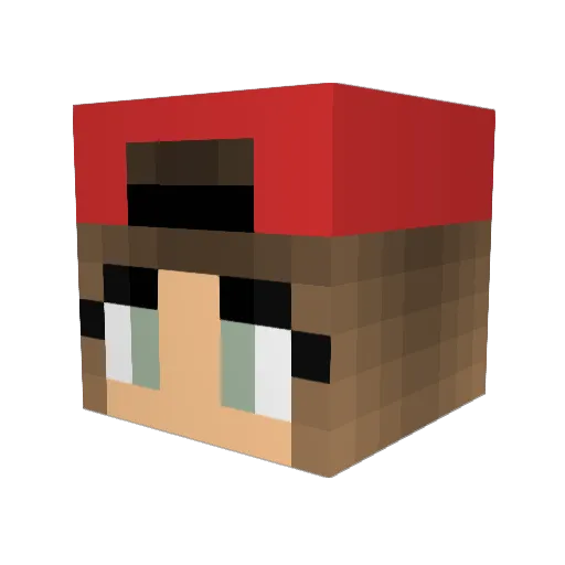 Sara_0_5 Minecraft avatar head, 3D render