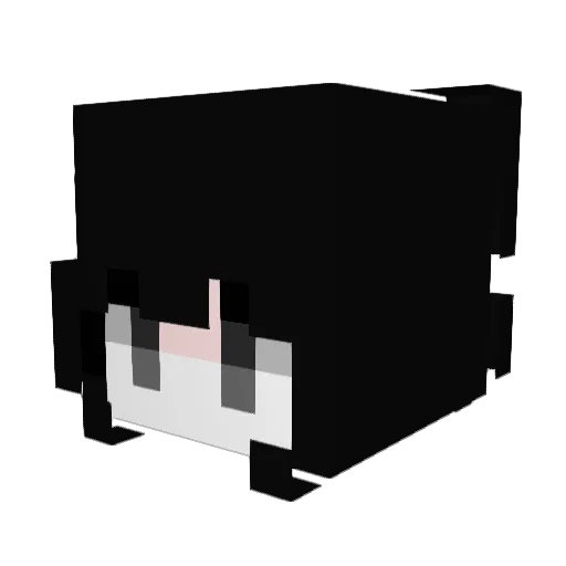 Sara_Lulu Minecraft avatar head, 3D render
