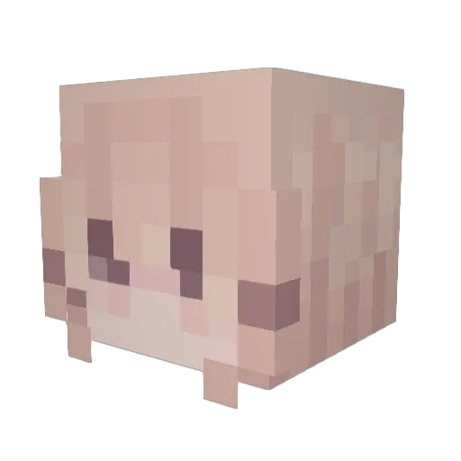Sara_M Minecraft avatar head, 3D render
