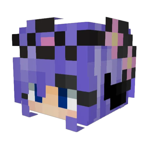 Saraa23 Minecraft avatar head, 3D render