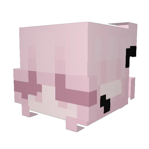 SaraaLuvYo Minecraft avatar head, 3D render