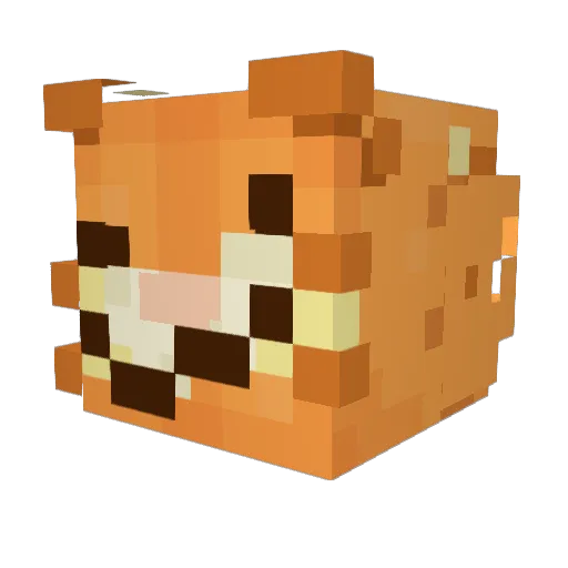 SaraaMae Minecraft avatar head, 3D render