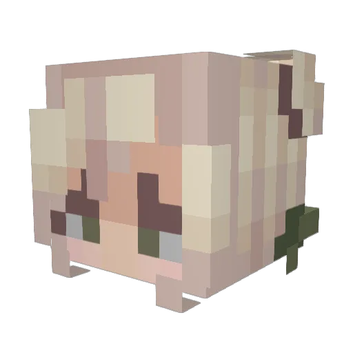 Sarah0110 Minecraft avatar head, 3D render
