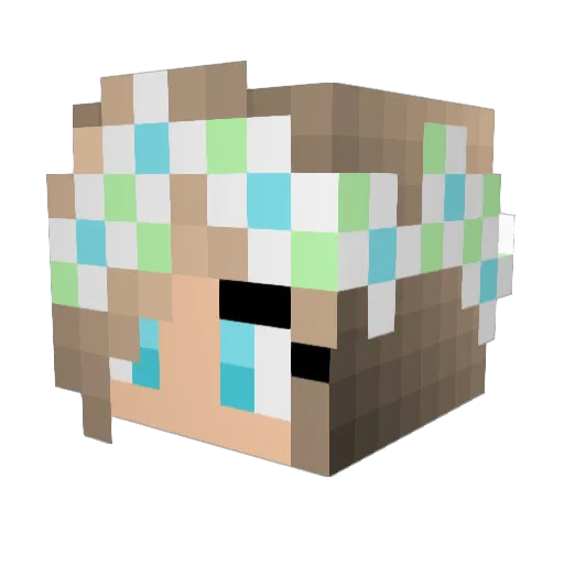 Sarah0216 Minecraft avatar head, 3D render