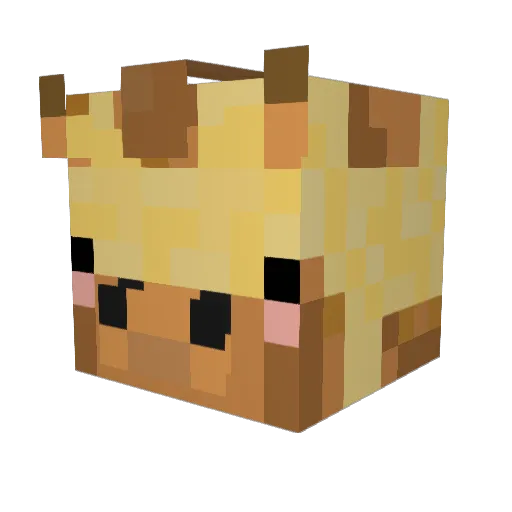 Sarah123456 Minecraft avatar head, 3D render