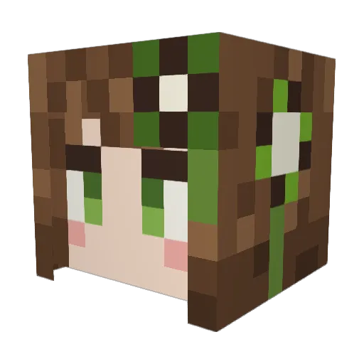 Sarah1701 Minecraft avatar head, 3D render