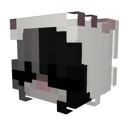 Sarah20108102 Minecraft avatar head, 3D render