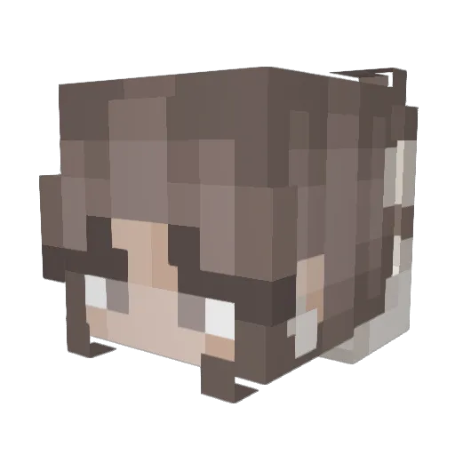 Sarah5030 Minecraft avatar head, 3D render