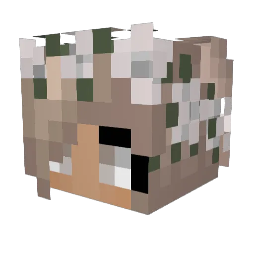 Sarah642 Minecraft avatar head, 3D render