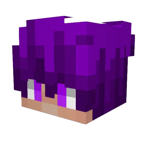 Sarah8100 Minecraft avatar head, 3D render