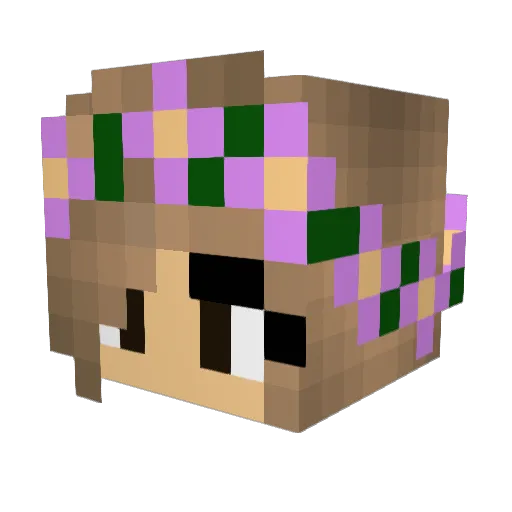 SarahAnn Minecraft avatar head, 3D render