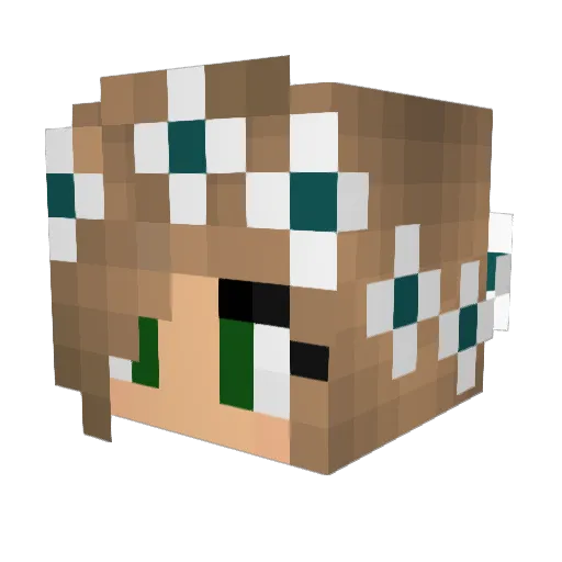 SarahBaBarah Minecraft avatar head, 3D render