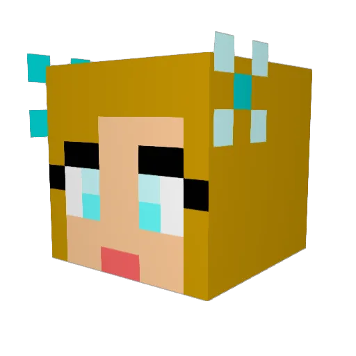 SarahBearah Minecraft avatar head, 3D render