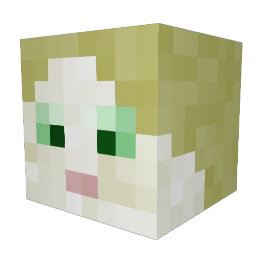 SarahL06 Minecraft avatar head, 3D render