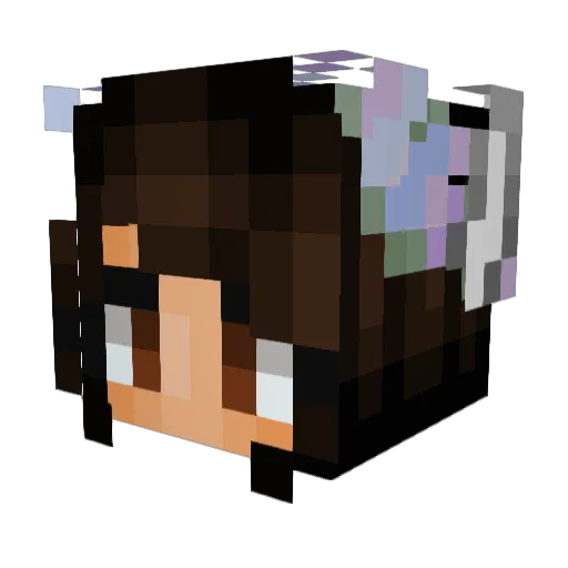 SarahMonster Minecraft avatar head, 3D render