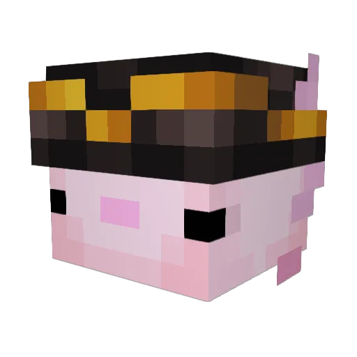 SarahNPT Minecraft avatar head, 3D render
