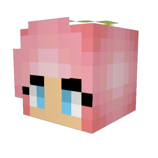 SarahNoker Minecraft avatar head, 3D render
