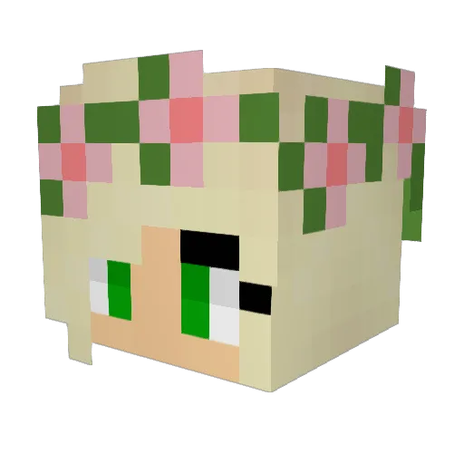 SarahS12 Minecraft avatar head, 3D render
