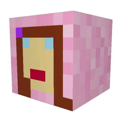 SarahSahni Minecraft avatar head, 3D render
