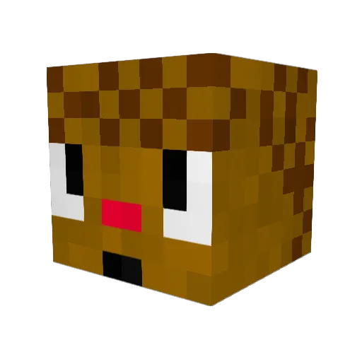 SarahSnoo Minecraft avatar head, 3D render